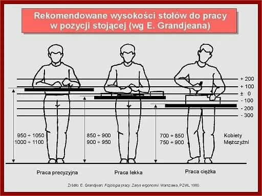 Optymalna wysokość blatu warsztatowego? Zadbaj o komfort i plecy!